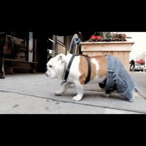 Meet your Posher, Alan